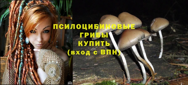 каннабис Беломорск