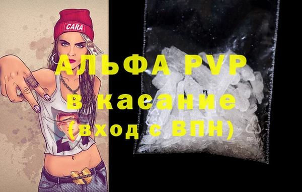 прущие грибы Богородск